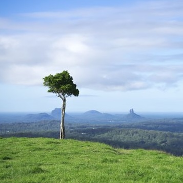 Maleny